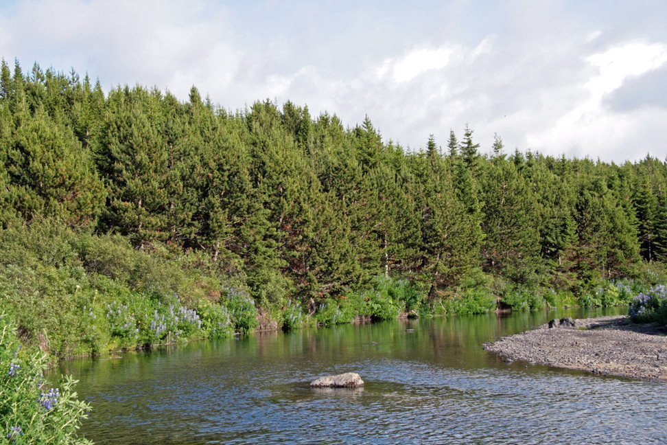 Sandá í Þjórsárdal