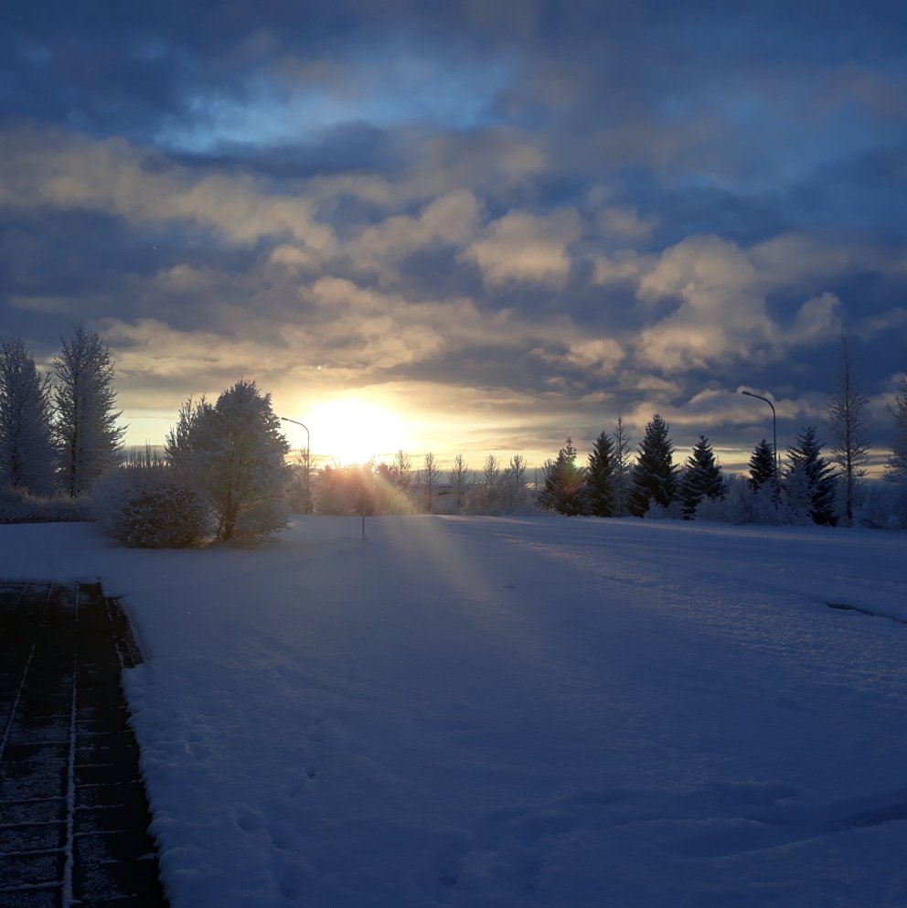 Smávægilegar breytingar á sorphirðu þessa vikuna