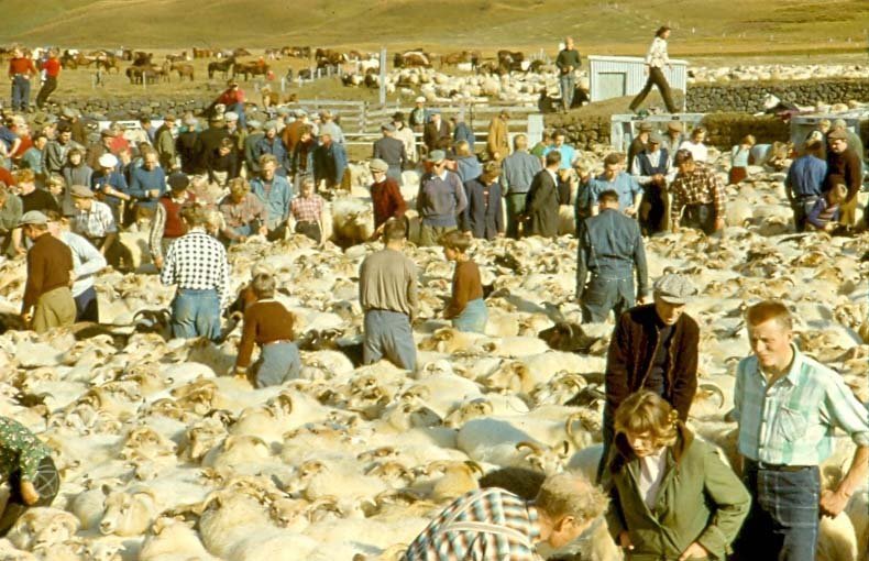 Kannast einhver við þetta fólk?