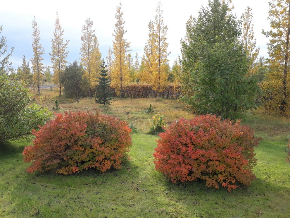 Unglingavinna sveitarfélagsins