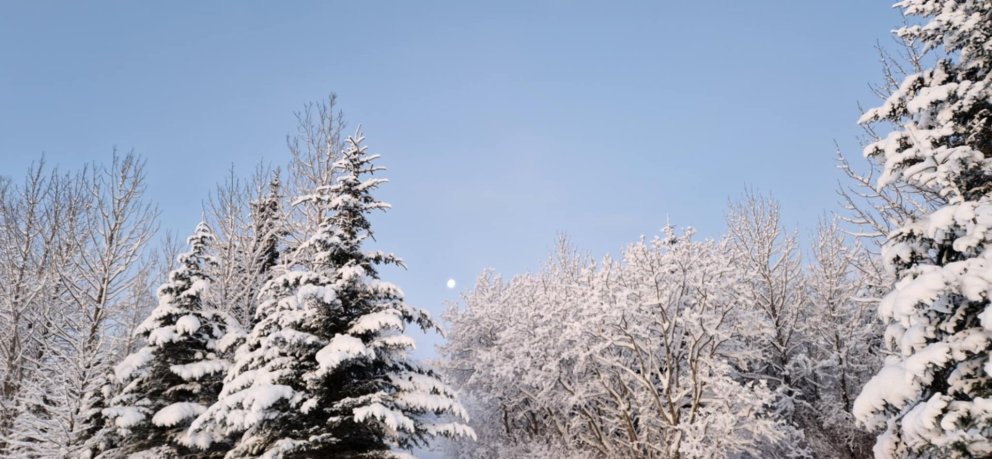 79. sveitarstjórnarfundur boðaður