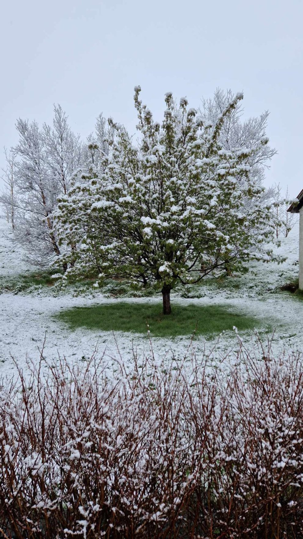Páskaopnun sundlauga, líkamsræktar og gámasvæðis