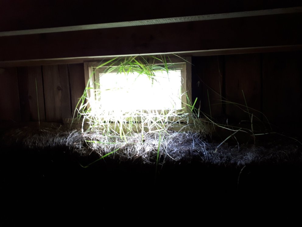 Gluggi út í alheiminn