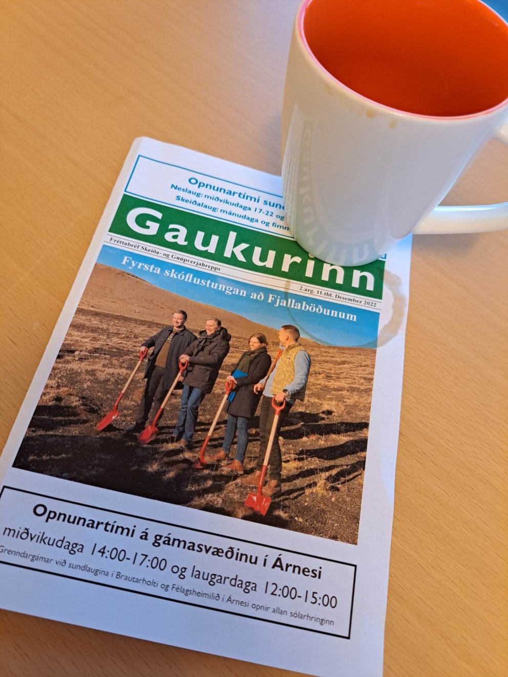 Desember Gaukur