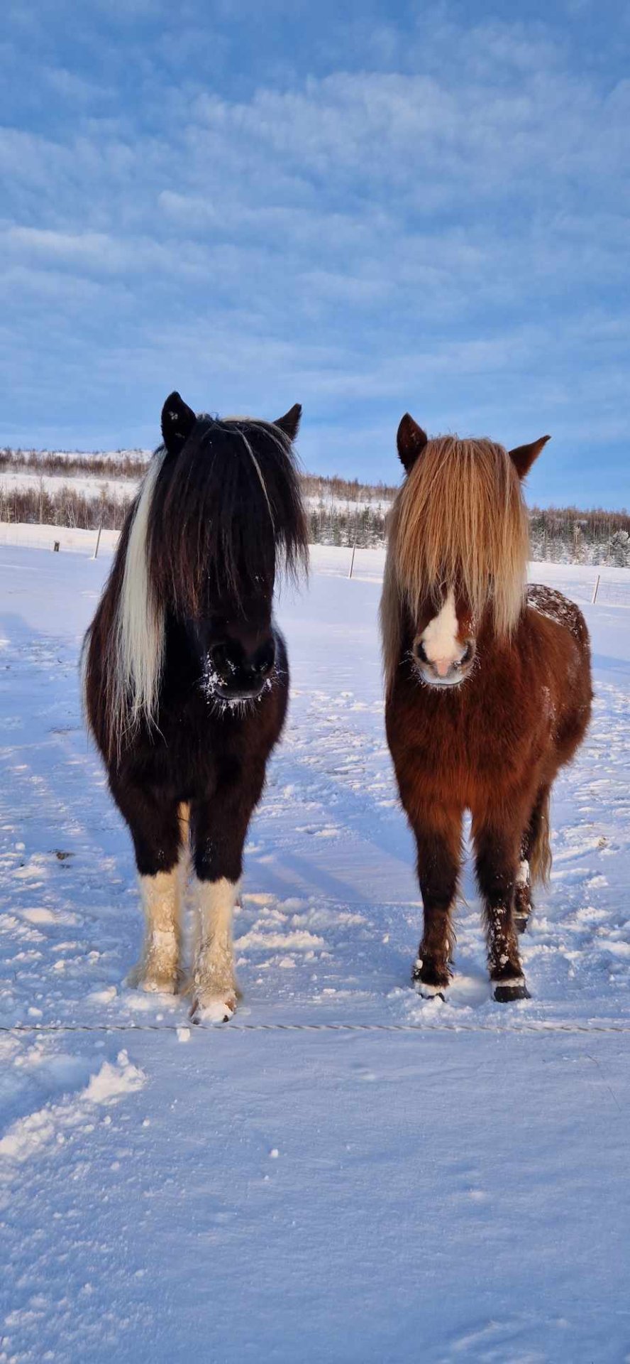 34. Sveitarstjórnarfundur boðaður