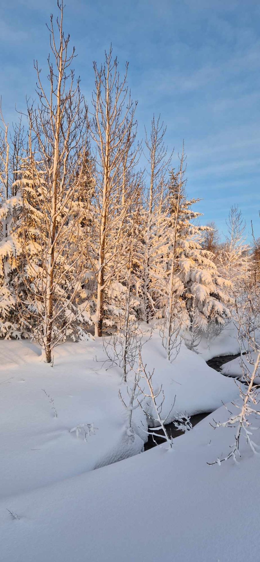 Jólaball kvenfélaganna
