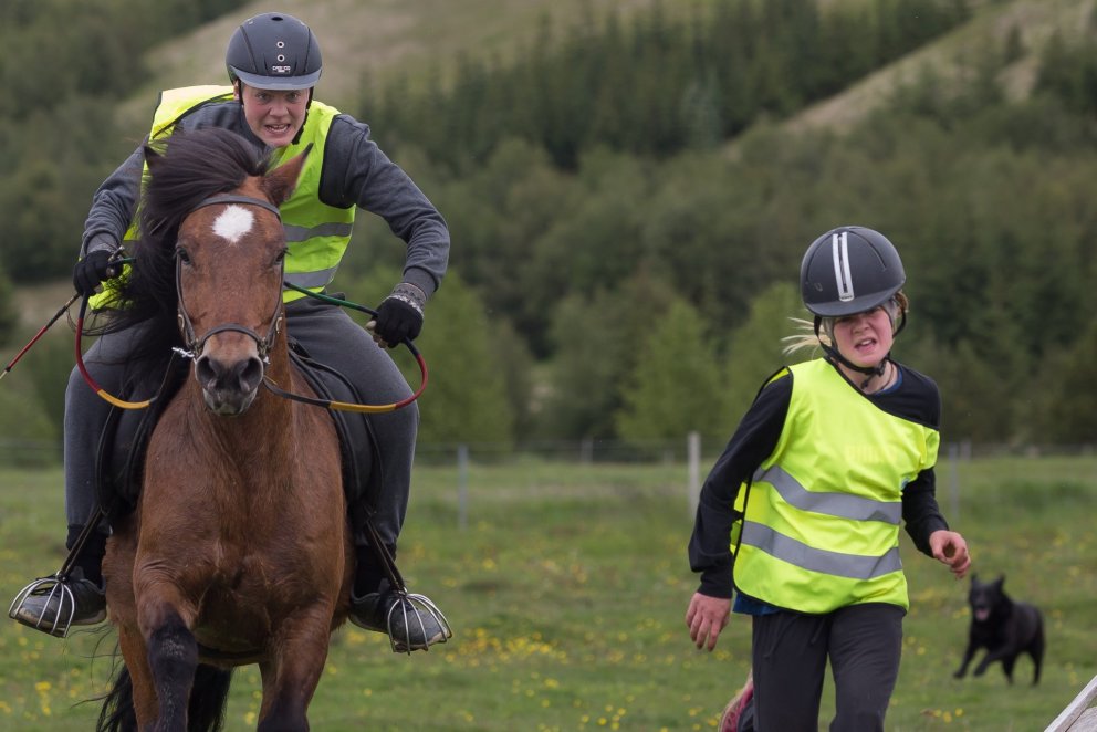 Sveitarstjórnarfundur nr. 44. 1 ágúst 2017