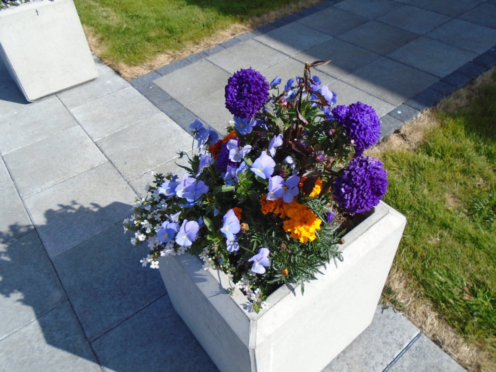 Kemur ekki bráðum sumar?