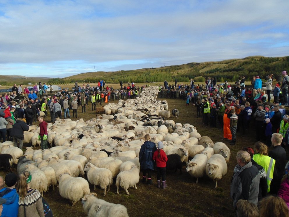 Svipmyndir úr Skaftholtsréttum