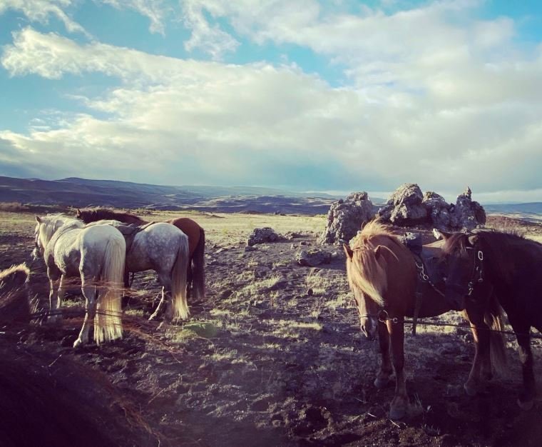 Forsíðumynd SeptemberGauksins