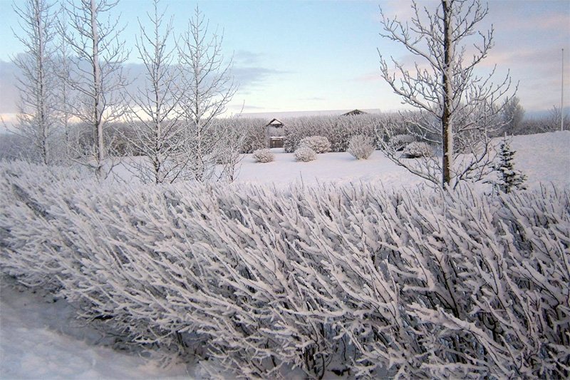 Frá sóknarnefnd Stóra-Núpskirkju