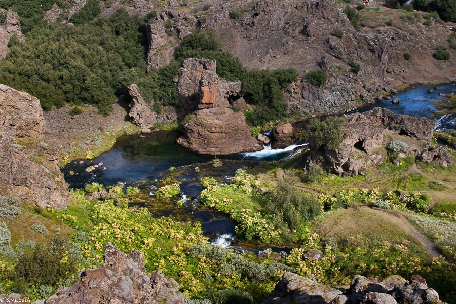 Gjáin í sumarbúningi