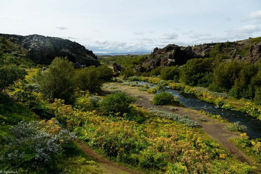 Gjáin í Þjórsárdal