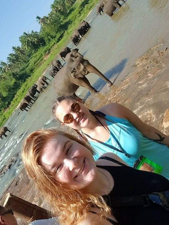 Ástrós (t.v.) og Hrafnhildur (t.h) og fílarnir á Sri Lanka