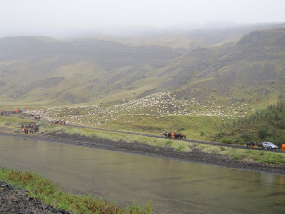 Fjallsafn við Bringu 2009