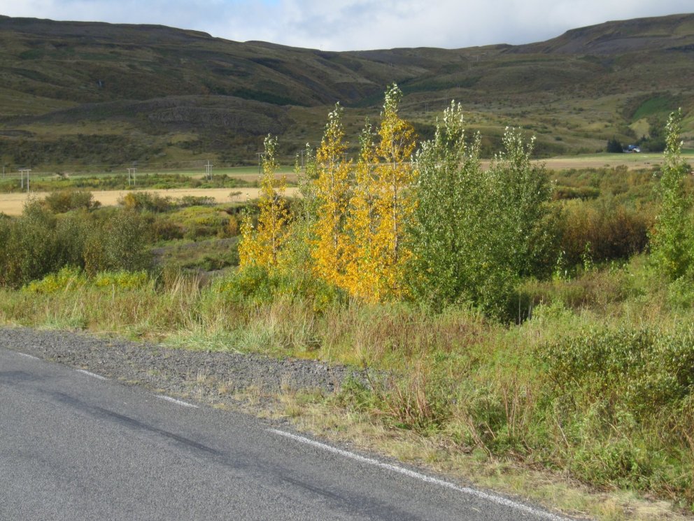 Haust í Þjórsárdal