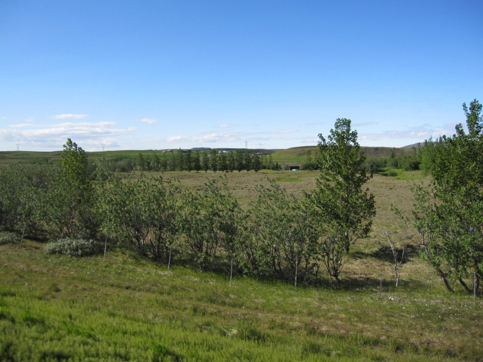 Tjaldsvæðið við Árnes