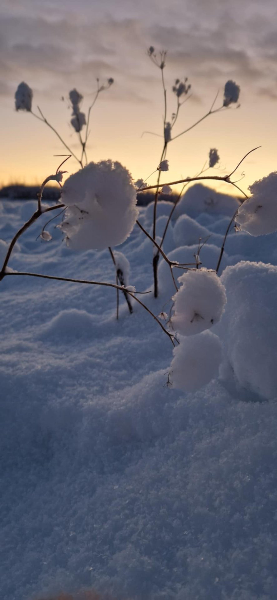 Opnunartími yfir jól og áramót