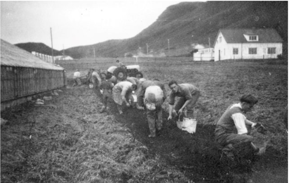 Með mold á hnjánum