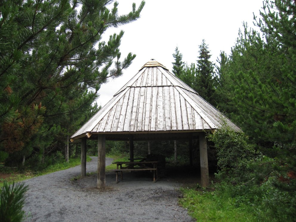 Skógarskýlið í Selhöfða í þjórsárdal.