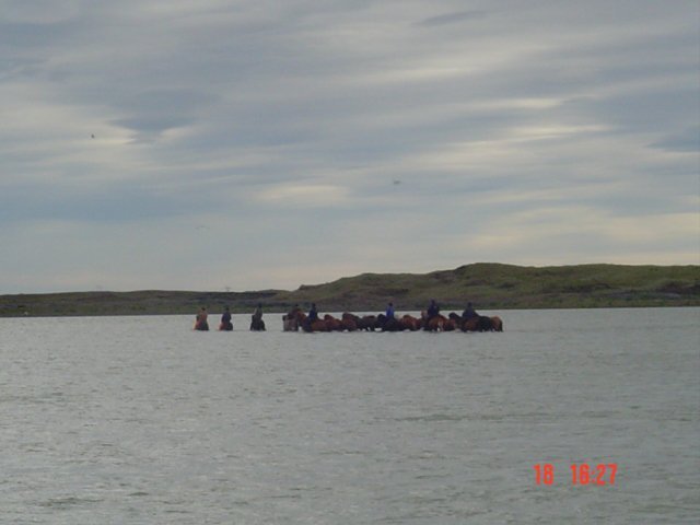 Hópur reiðmanna á leið yfir Þjórsá