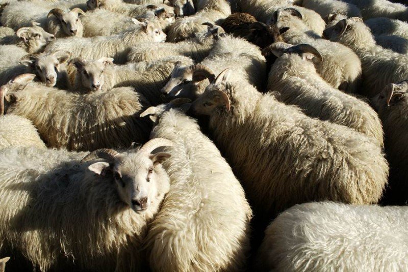 Sveitarstjórnarfundur nr. 46. 6 september 2017