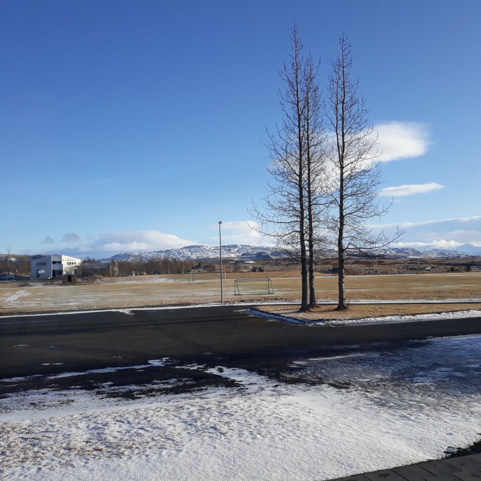 Vetur í Skeiða-og Gnúverjahr. 17.02.2020