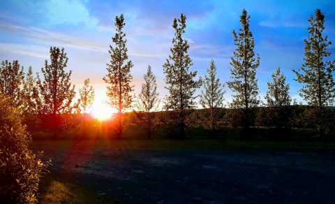 Sælkerabíll uppsveitanna verður í Árnesi