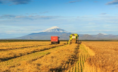 Kornakur í Gunnarsholti