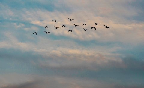 Kjörskrá liggur frammi