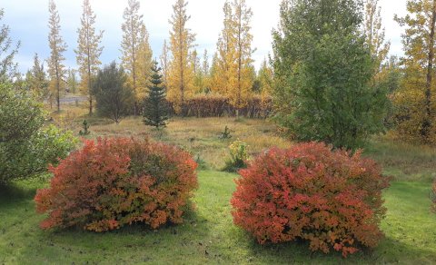 Unglingavinna sveitarfélagsins