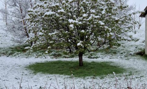 Páskaopnun sundlauga, líkamsræktar og gámasvæðis