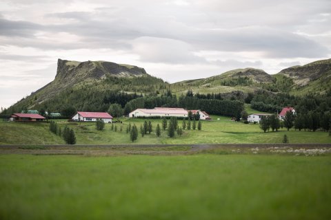 Til eigenda fasteigna í Skeiða-og Gnúpverjahreppi.