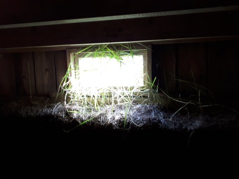 Gluggi út í alheiminn