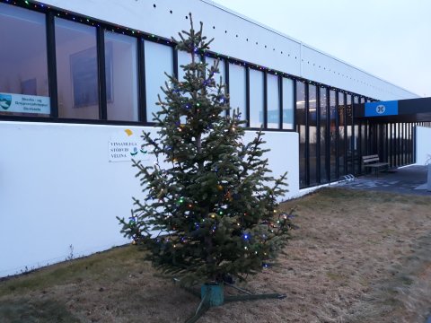 Jólatré í Árnesi 2018