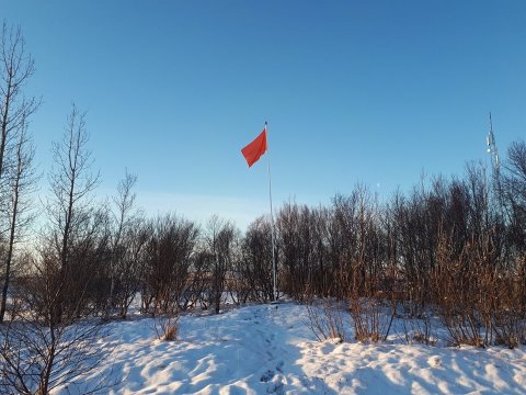 Appelsínugulur fáni gegn kynbundnu ofbeldi