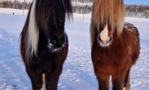 34. Sveitarstjórnarfundur boðaður