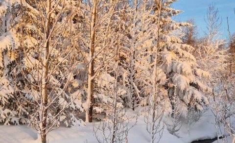 Jólaball kvenfélaganna