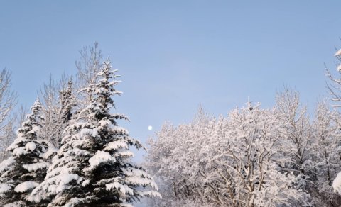 Verkefnisstjóri farsældarráðs á Suðurlandi