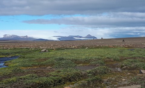 Arnarfell af Sprengisandsleið