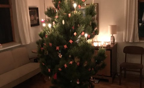 Svolítið danskt jólatré - með alvöru kertum