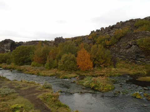 Haust í Gjánni