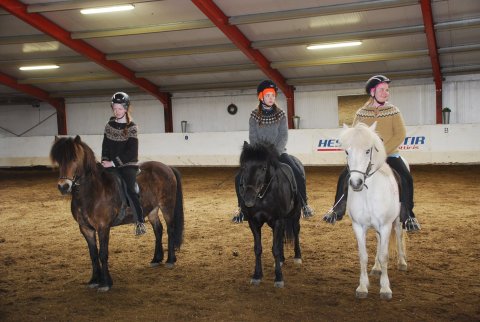 Hestheimaferð ungmenna úr Smára og Loga