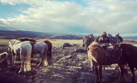 Forsíðumynd SeptemberGauksins