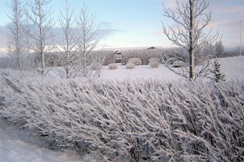 Frá sóknarnefnd Stóra-Núpskirkju