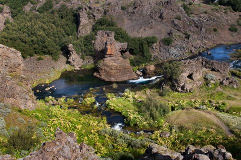 Gjáin í sumarbúningi