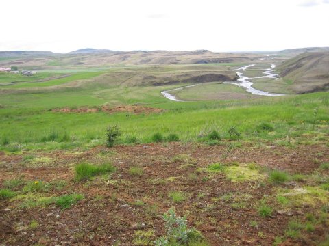 Skipulagsauglýsing sem birtist 18. júní 2020