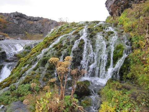 Lítill foss í Gjánni