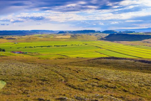 Gróin tún að Hæl í Gnúpverjahreppi