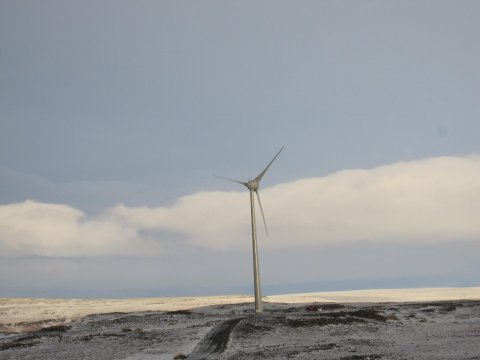 Vindmylla á Hafinu
